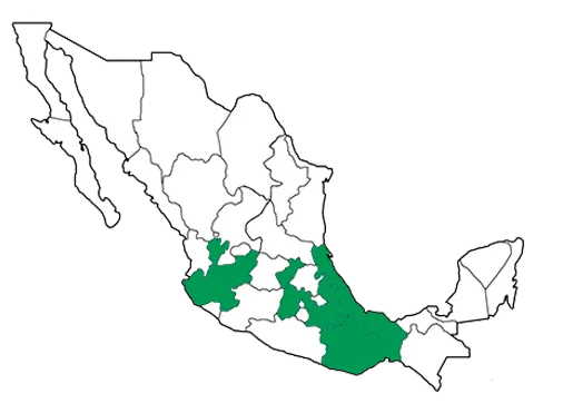 mapa de cemac mexico copia